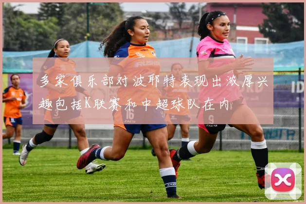 多家俱乐部对波耶特表现出浓厚兴趣包括K联赛和中超球队在内