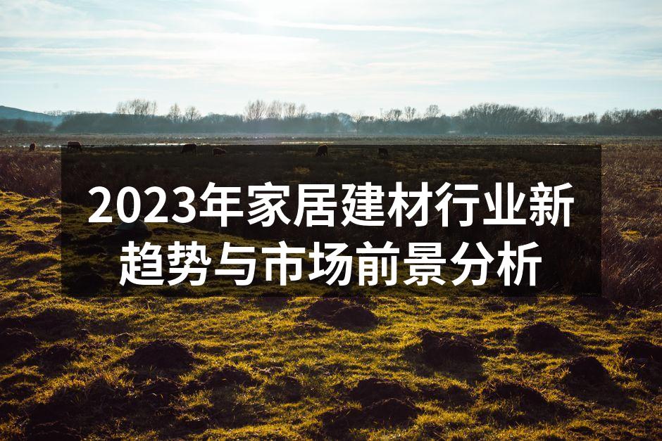 2023年家居建材行业新趋势与市场前景分析