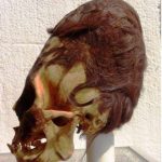 未知のDNAを持つナゾの頭蓋骨がペルー（パラカス）で発見!エイリアンか新種か？新事実が発覚！【何だコレ!?ミステリー】